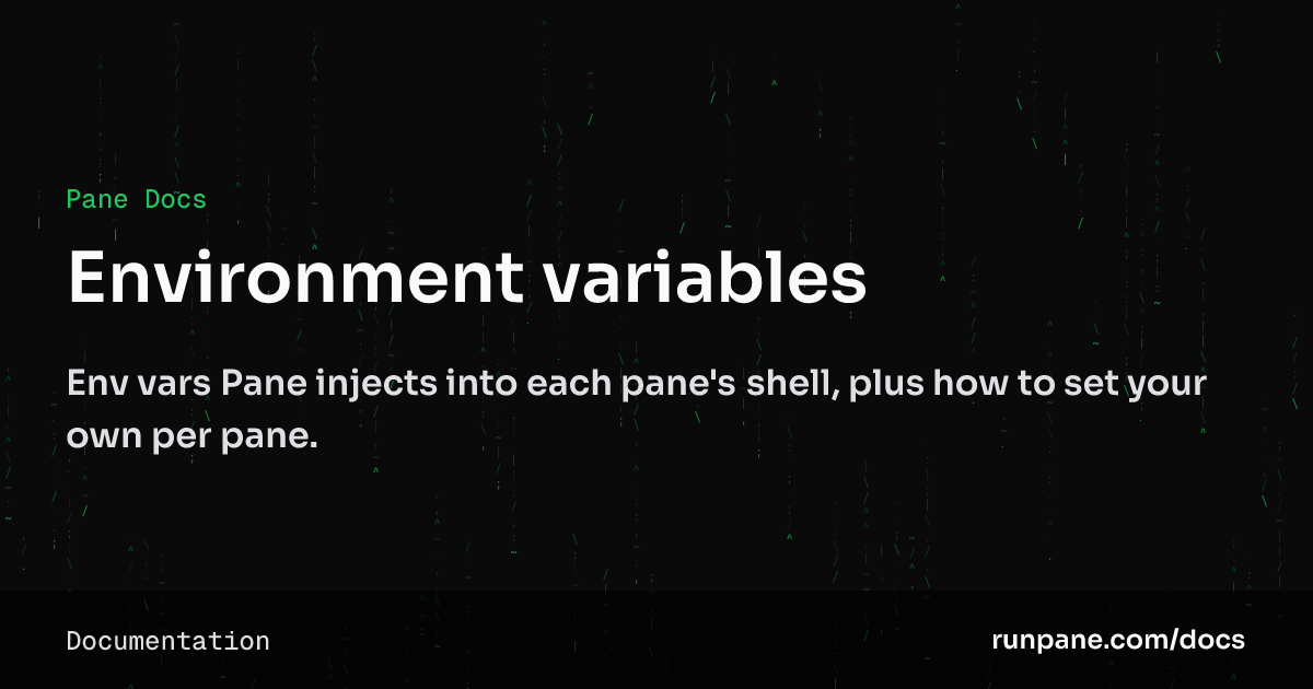 Environment variables – Pane Docs